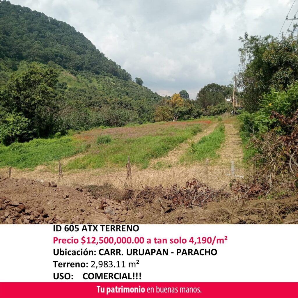 ID 605 ATX TERRENO VENTA URUAPAN