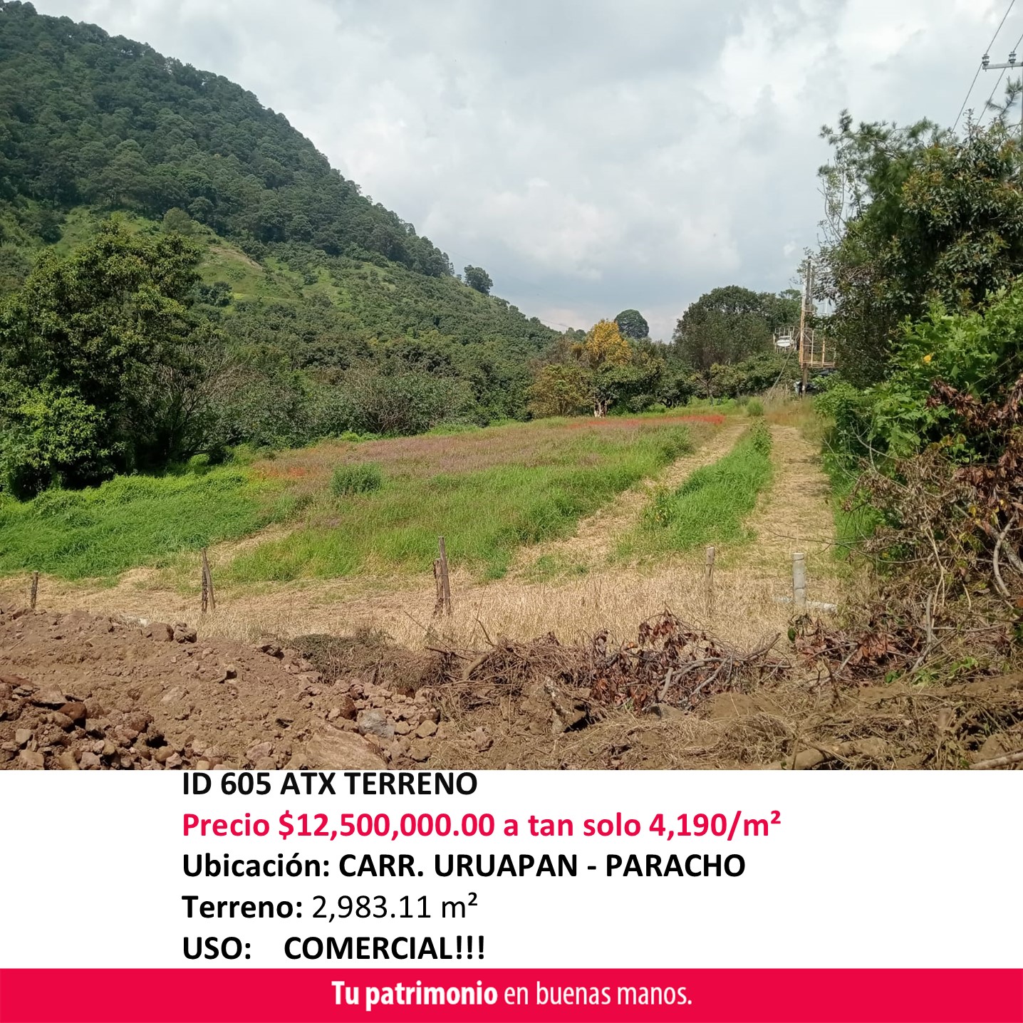 ID 605 ATX TERRENO VENTA URUAPAN